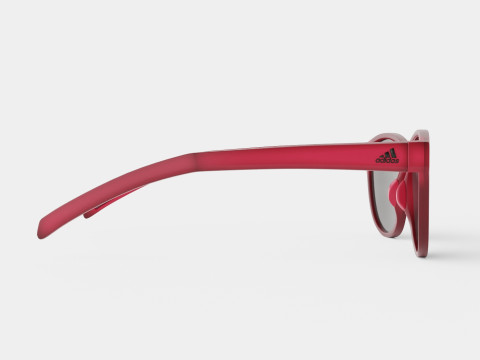 Adidas Wildcharge - A425 Sport Glasses 3D 모델