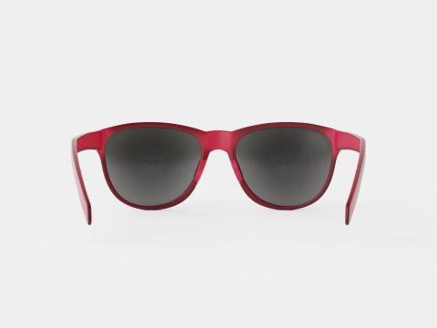 Adidas Wildcharge - A425 Sport Glasses 3D 모델