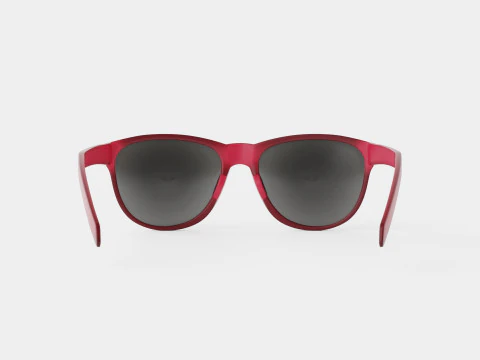 Adidas Wildcharge - A425 Sport Glasses 3D Model