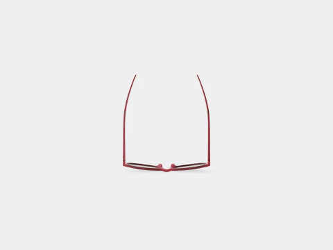 Adidas Wildcharge - A425 Sport Glasses 3D Model
