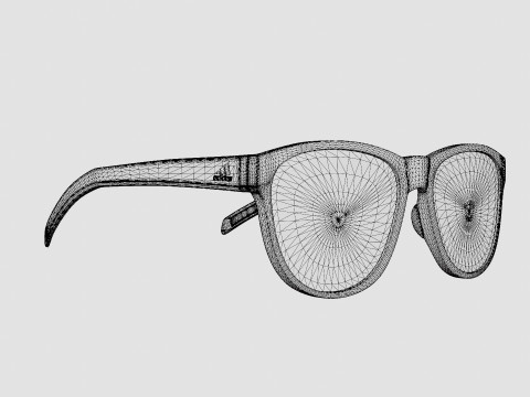 Adidas Wildcharge - A425 Sport Glasses 3D 모델