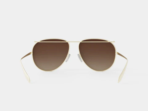 Alexander McQueen - AM0170S 001 Sunglasses 3D Model