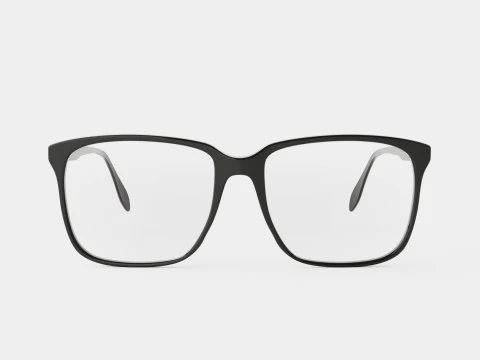 Alexander McQueen - AM0191O 001 Glasses 3D Model