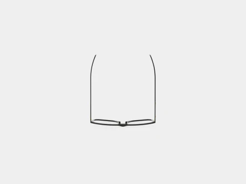 Alexander McQueen - AM0191O 001 Glasses 3D Model