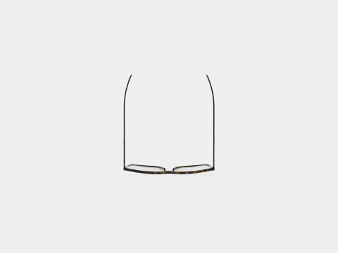 Alexander McQueen - AM0191O 002 Glasses 3D 모델