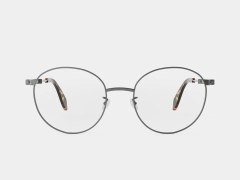 Alexander McQueen - AM0232O 002 5219 Glasses 3D Model