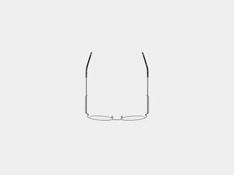 Alexander McQueen - AM0232O 002 5219 Glasses 3D Model