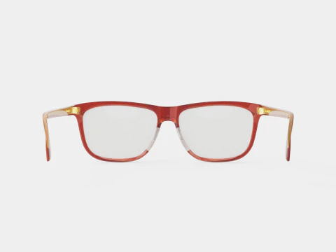 Alexander McQueen - AM0248O 004 Glasses 3D Model