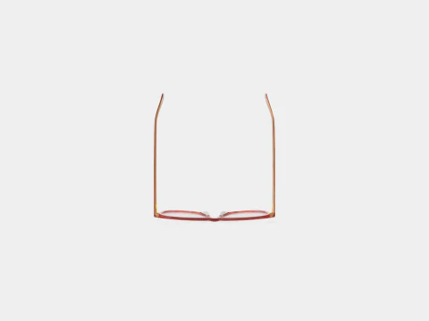 Alexander McQueen - AM0248O 004 Glasses 3D Model