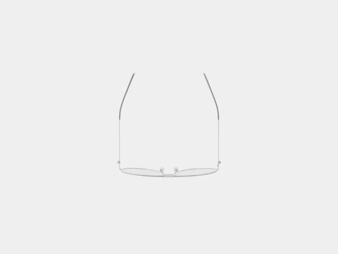 Alexander McQueen - AM0260O 002 Glasses 3D Model