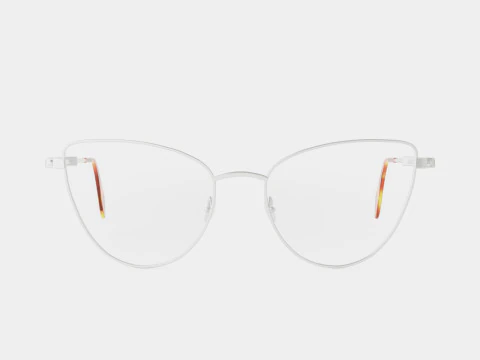 Alexander McQueen - AM0268O 003 Glasses 3D Model