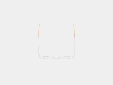 Alexander McQueen - AM0268O 003 Glasses 3D Model
