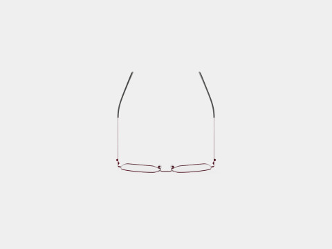 Alexander McQueen - AM0276O 002 Glasses 3D 모델