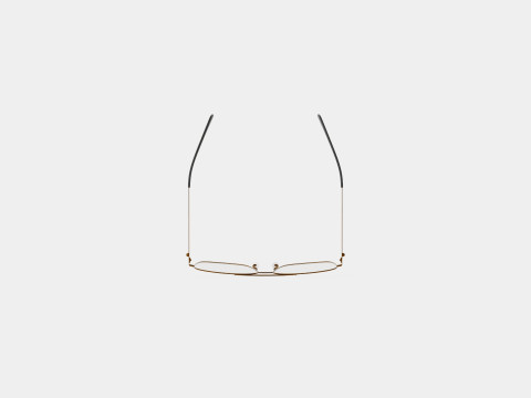 Alexander McQueen - AM0277O 002 5814 Glasses Modèle 3D