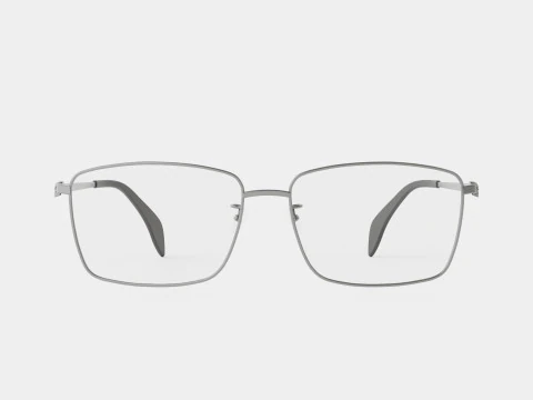 Alexander McQueen - AM0278O 001 Glasses 3D Model