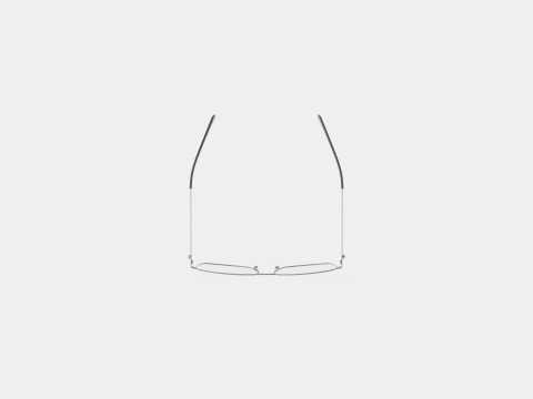 Alexander McQueen - AM0278O 001 Glasses 3Dモデル