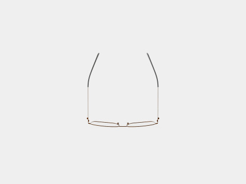 Alexander McQueen - AM0278O 002 Glasses 3D 모델