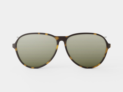 Alexander Mcqueen - AM0193S 004 Sunglasses 3D Модель