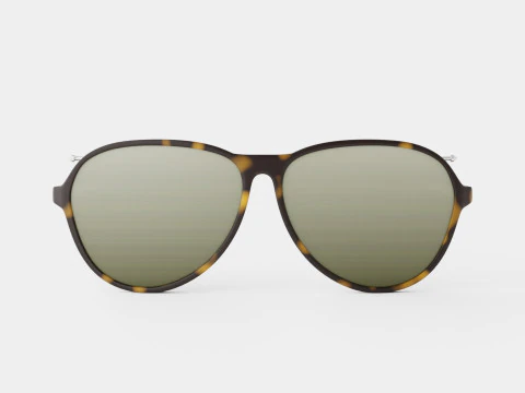 Alexander Mcqueen - AM0193S 004 Sunglasses 3D Model