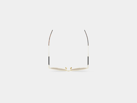 Bottega Veneta - BV0042S 001 Sunglasses 3D Modell