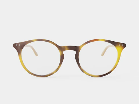 Bottega Veneta - BV0192O 002 Glasses 3D Model