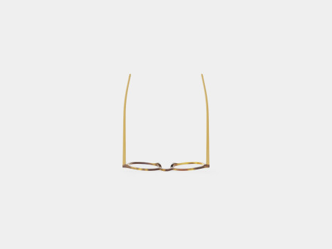 Bottega Veneta - BV0192O 002 Glasses 3Dモデル