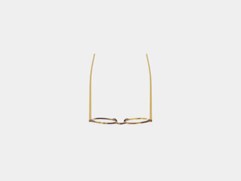 Bottega Veneta - BV0192O 002 Glasses 3D Model