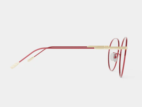 Bottega Veneta - BV0214O 003 Glasses 3D Model