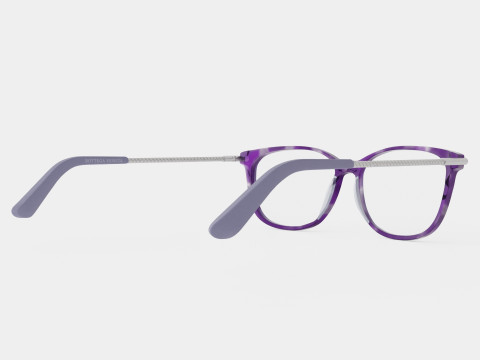 Bottega Veneta - BV0232O 004 Glasses 3D 모델