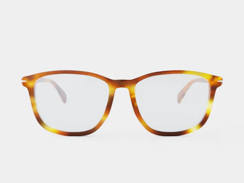David Beckham DB1017 EX4 Glasses 3D Model