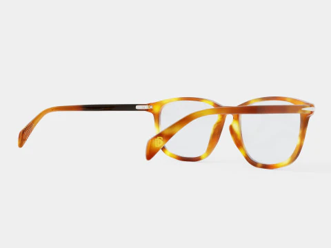 David Beckham DB1017 EX4 Glasses 3D Model