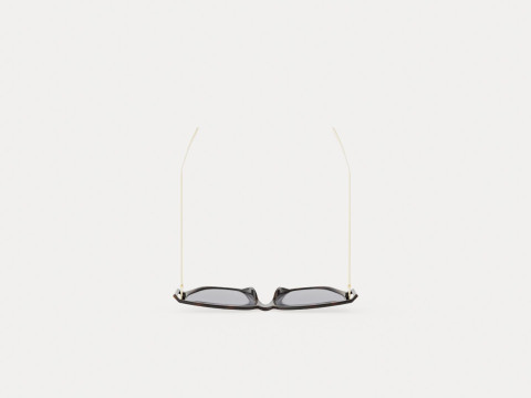 Dior - DIORDIRECTION3F 086 Sunglasses 3Dモデル