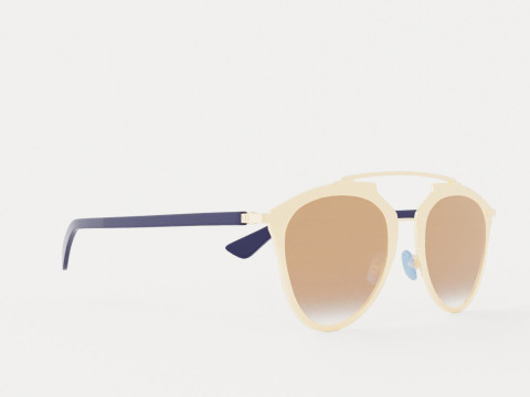 Dior - Reflected 321 Sunglasses 3D Model