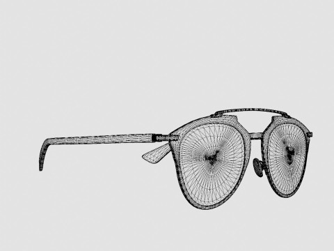 Dior - Reflected 321 Sunglasses 3D 모델