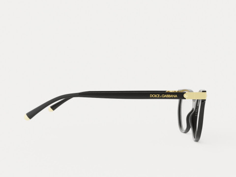 Dolce and Gabbana - DG5032 501 Glasses Modèle 3D