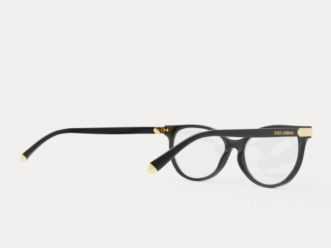 Dolce and Gabbana - DG5032 501 Glasses Modèle 3D
