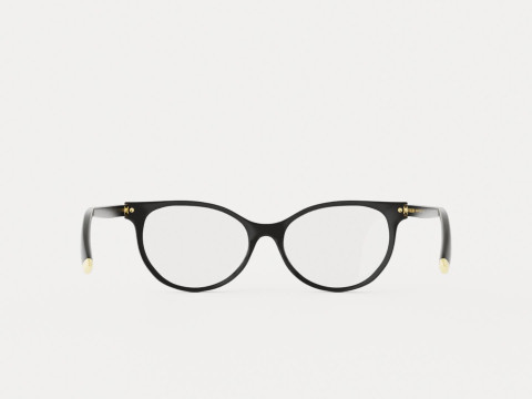 Dolce and Gabbana - DG5032 501 Glasses Modèle 3D