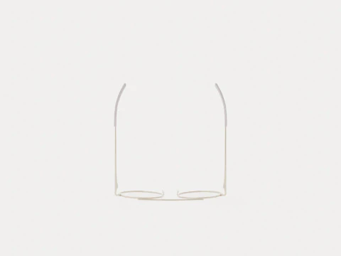 Eco - Antibes Silver Glasses 3D Model