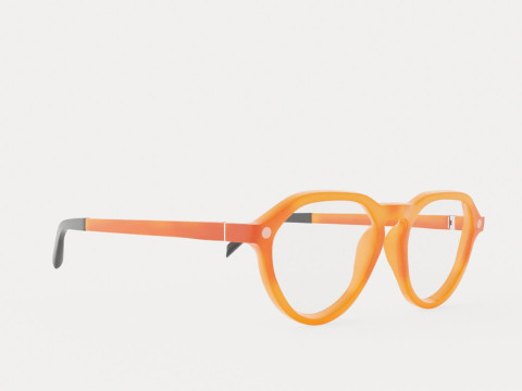 Eco - Arve Coral Glasses Modelo 3D