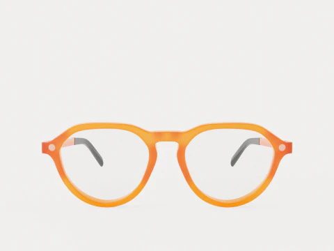 Eco - Arve Coral Glasses 3D Model