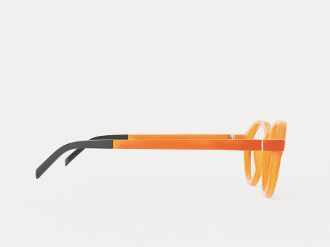Eco - Arve Coral Glasses 3Dモデル