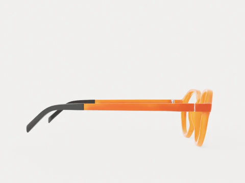 Eco - Arve Coral Glasses 3D Model
