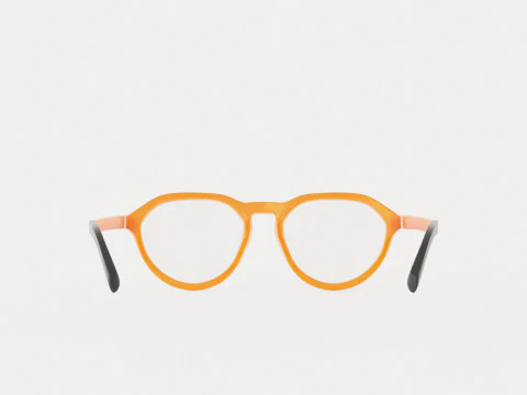 Eco - Arve Coral Glasses 3D Model