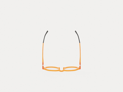 Eco - Arve Coral Glasses 3Dモデル