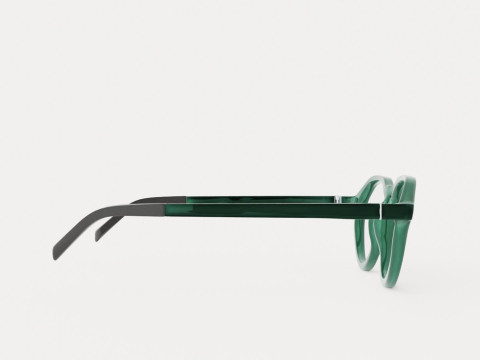 Eco - Arve Green Glasses Model 3D