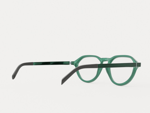 Eco - Arve Green Glasses Model 3D