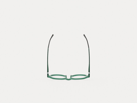 Eco - Arve Green Glasses Model 3D