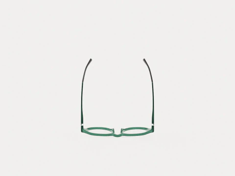 Eco - Arve Green Glasses 3D Model