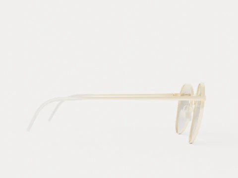 Eco - &Oacute;culos de sol BELIZE GOLD Modelo 3D