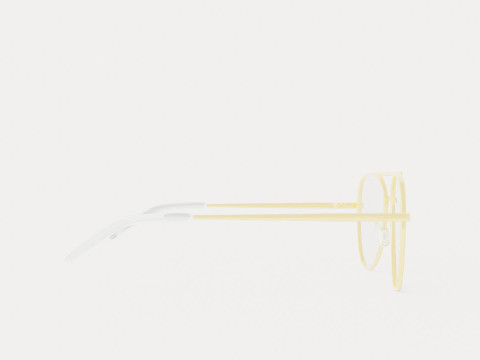 Eco - Brisbane Gold 5316 Glasses 3D Model
